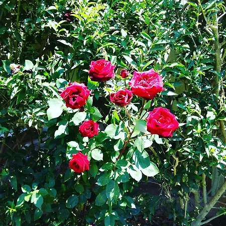 Bed & Breakfast Ermes Avola