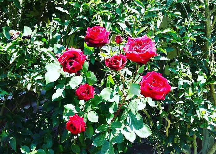 Bed & Breakfast Ermes Avola