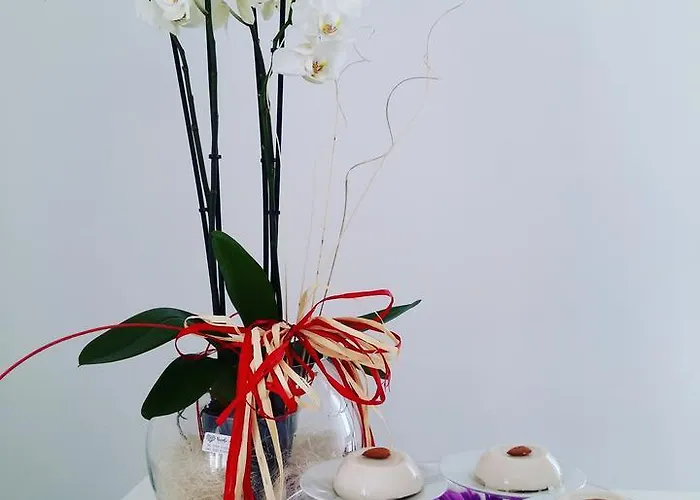 Bed & Breakfast Ermes